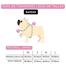 Carregar imagem no visualizador da galeria, Conjunto Peitoral 3 acessórios - Santa Fé
